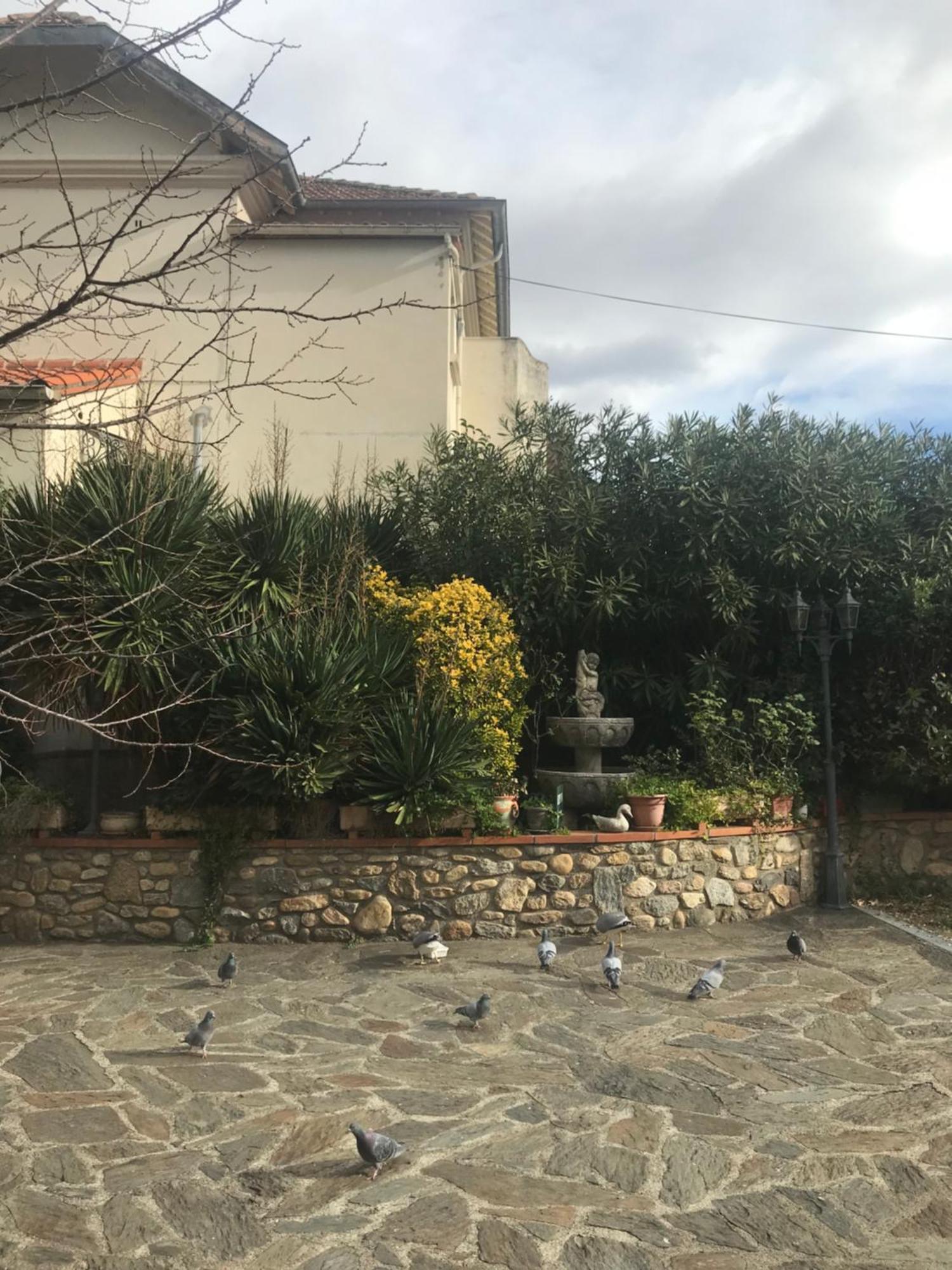 Hebergements A La Rive: Accueil Chaleureux et Paiement Flexible Amelie-les-Bains-Palalda Exterior photo